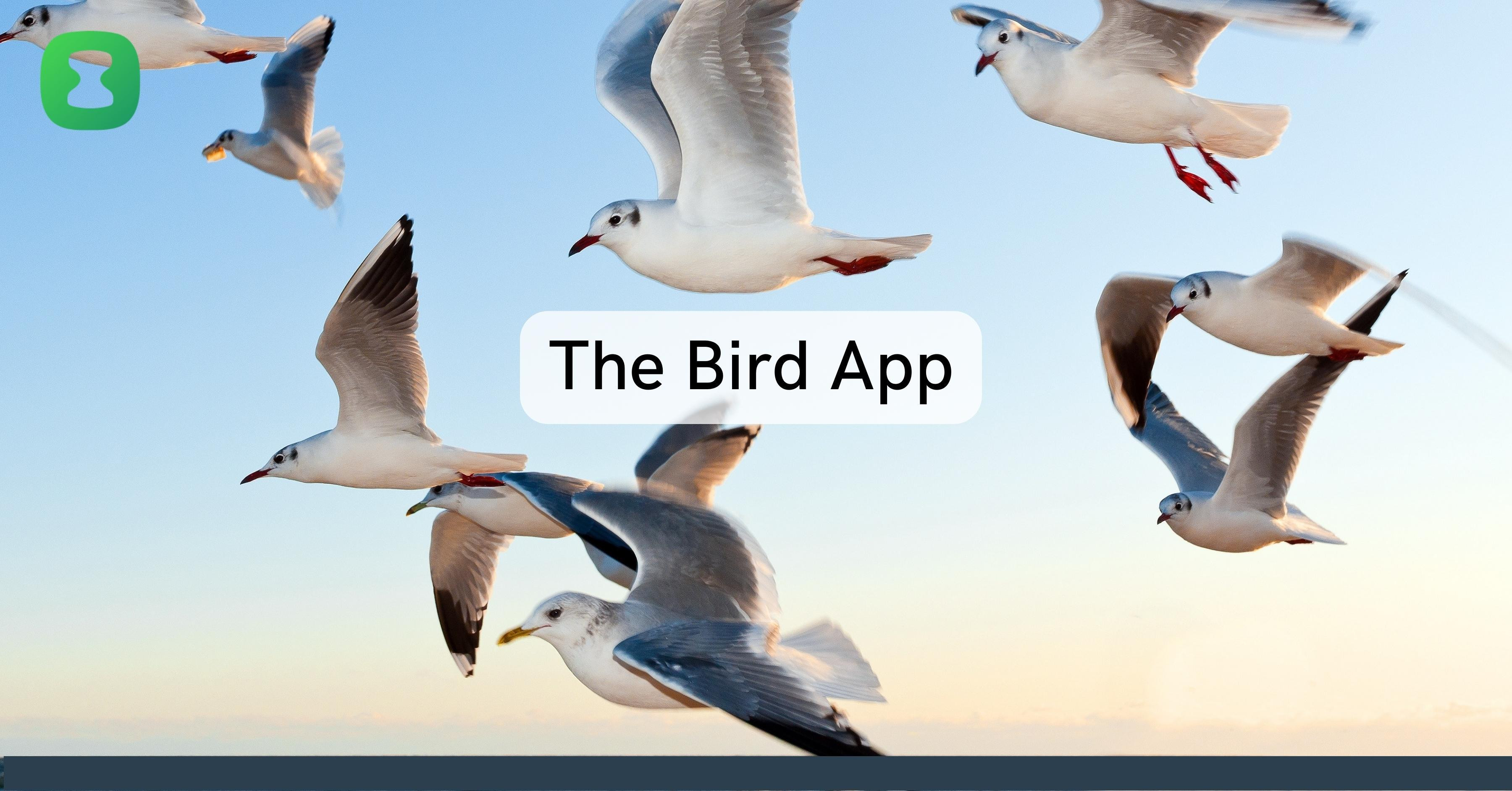 The-bird-app-blog-photo.jpg